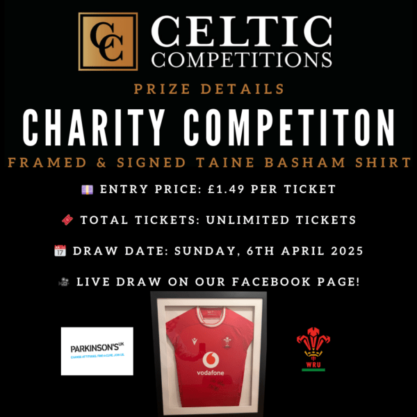 Charity Competition- Signed Framed Wales Shirt - Image 2